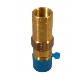 1/2" NPT Settings to 150 PSIG  PTFE Seat, without Drain Hole - PRV9434FP100