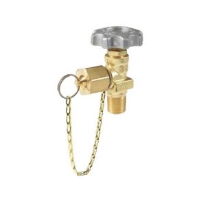 Rego CGA024 Line Station Valve, W/Cap and Chain- 7160V